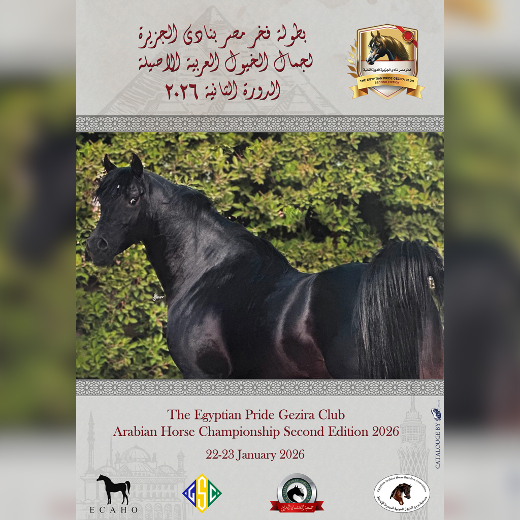 The Egyptian Pride Gezira club – Second Edition