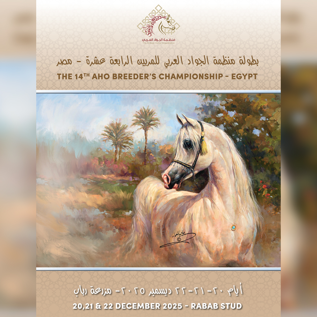 14th AHO Breeders' Championship Egypt 2025