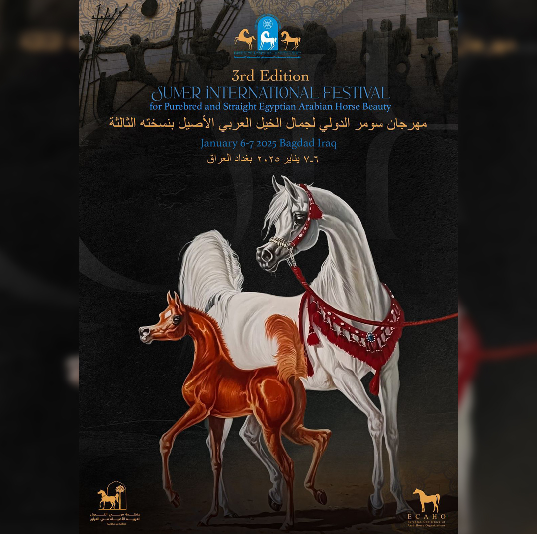 3rd Iraq Sumer Int. Festival - Purebred