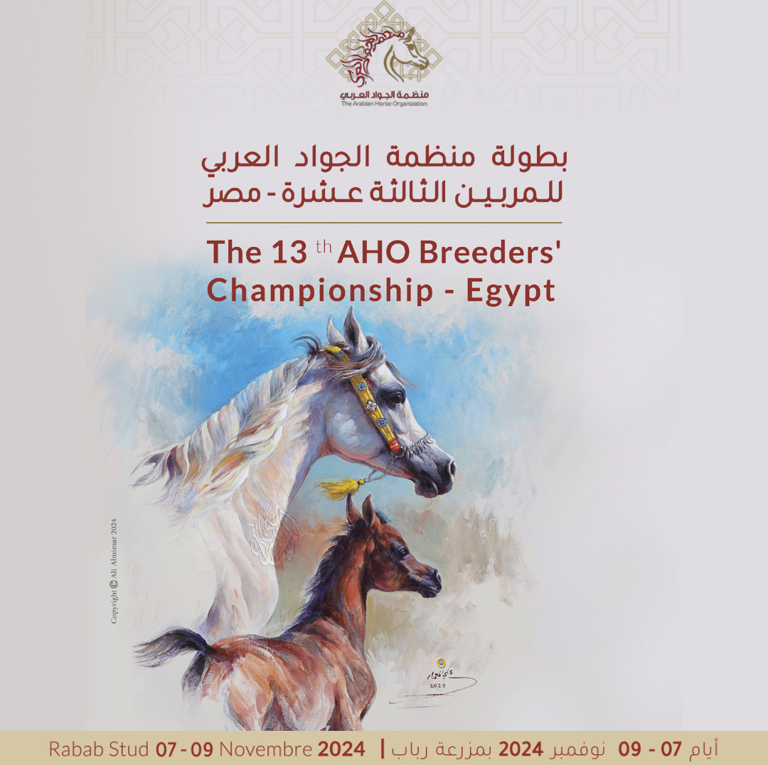 13th AHO Breeders' Egyptian Championship 2024